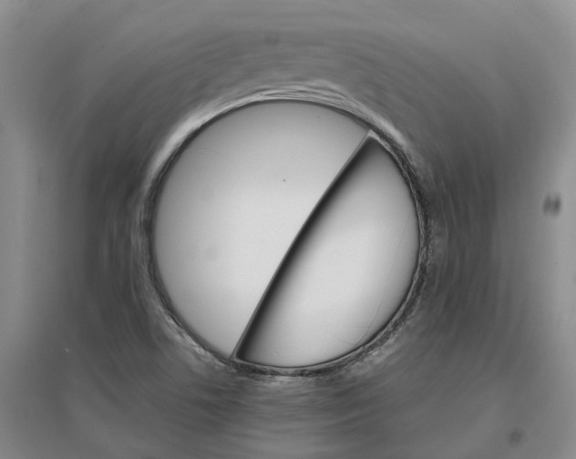 X0000096701506200802261552