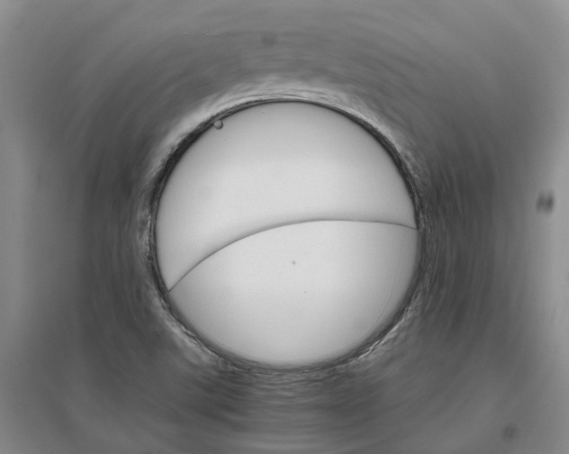 X0000096701507200802261552