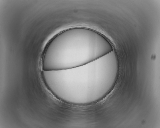 X0000096701510200802261552