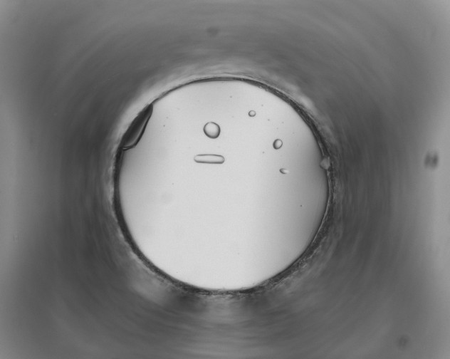 X0000096701512200802261552