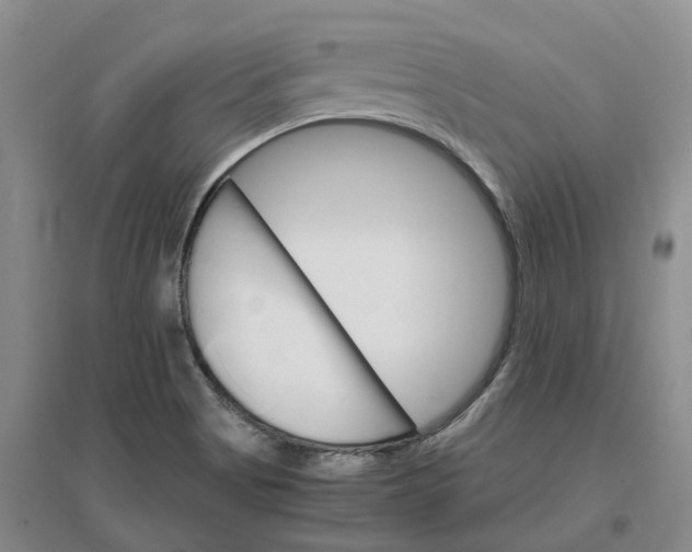 X0000096701513200802261552