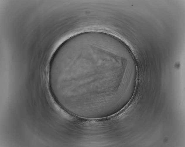 X0000096701515200802261552