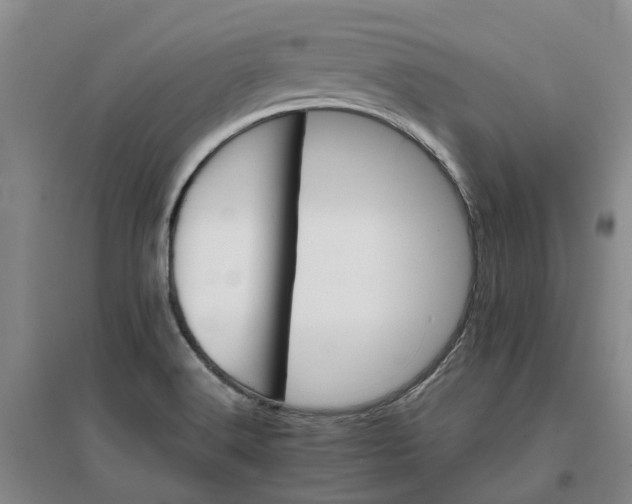 X0000096701516200802261552