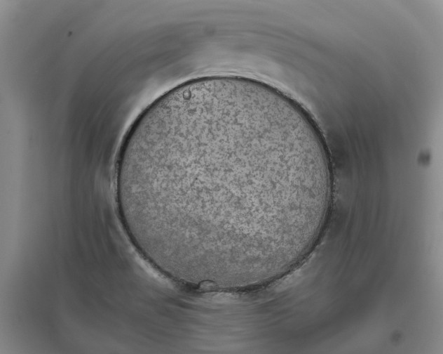 X0000096701517200802261552