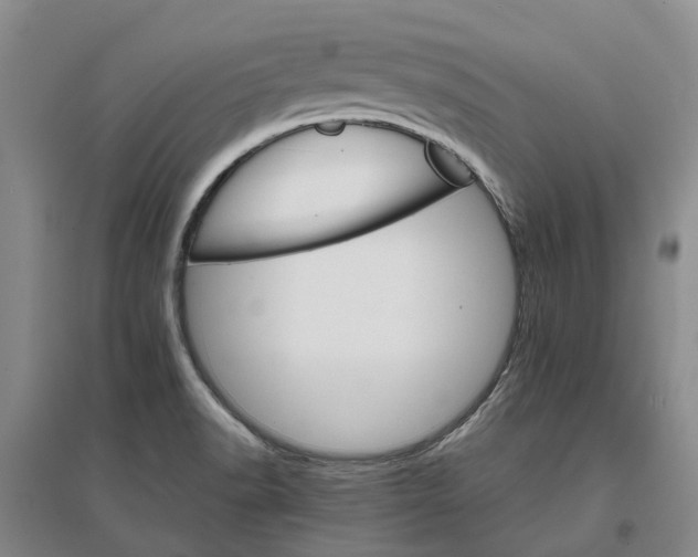 X0000096701518200802261552