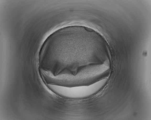 X0000096701519200802261552