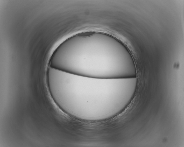 X0000096701520200802261552