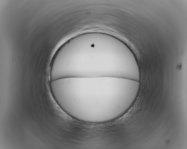 X0000096701522200802261552