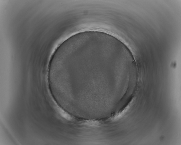 X0000096701525200802261552