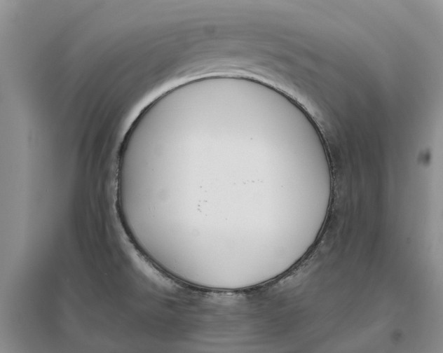 X0000096701526200802261552