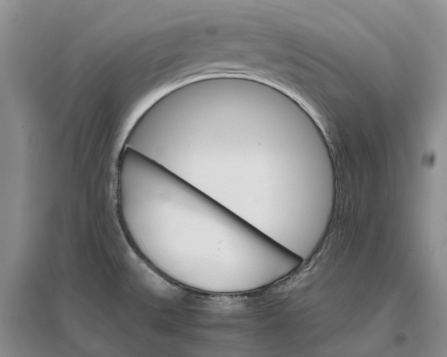 X0000096701527200802261552