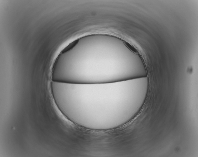 X0000096701528200802261552