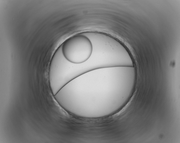 X0000096701529200802261552