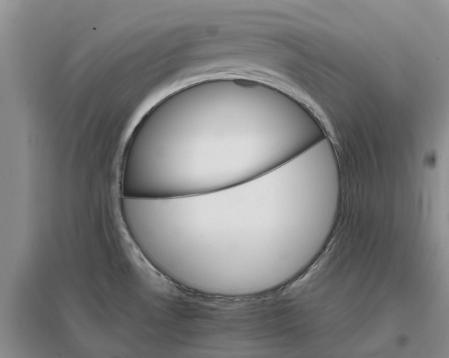 X0000096701530200802261552