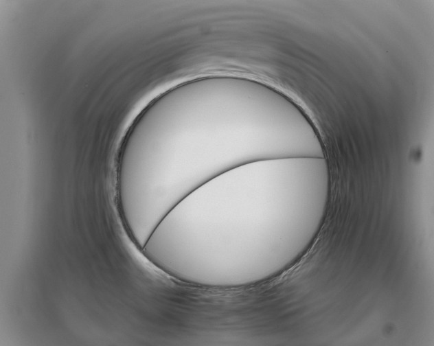 X0000096701531200802261552
