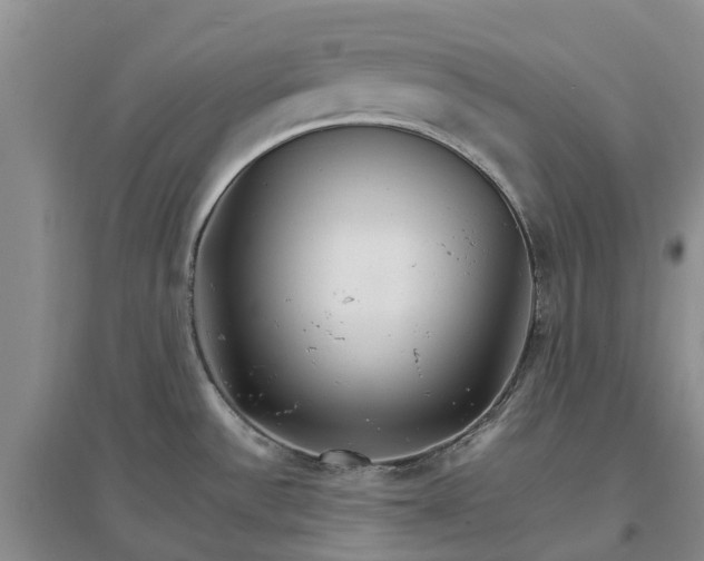 X0000096701532200802261552