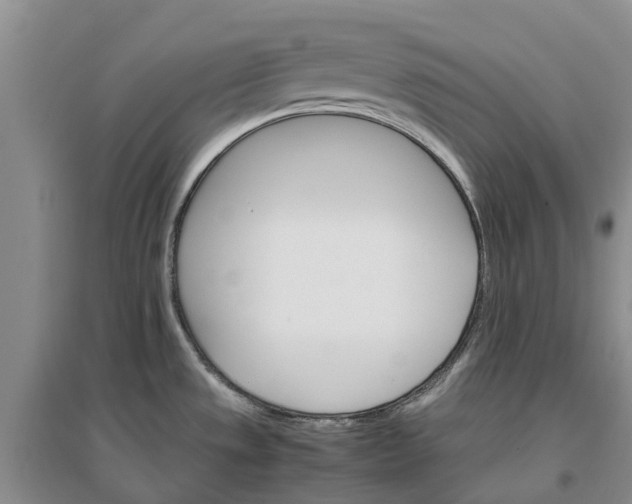X0000096701533200802261552