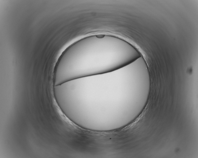 X0000096701534200802261552