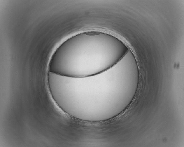 X0000096701536200802261552