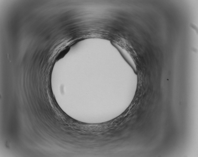 X0000096700001200803041330