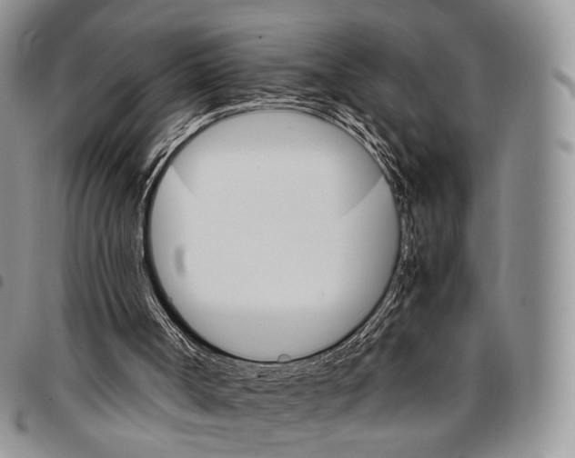 X0000096700002200803041330