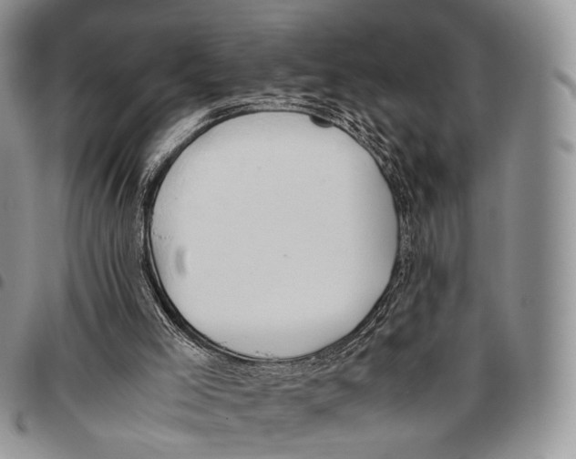 X0000096700005200803041330