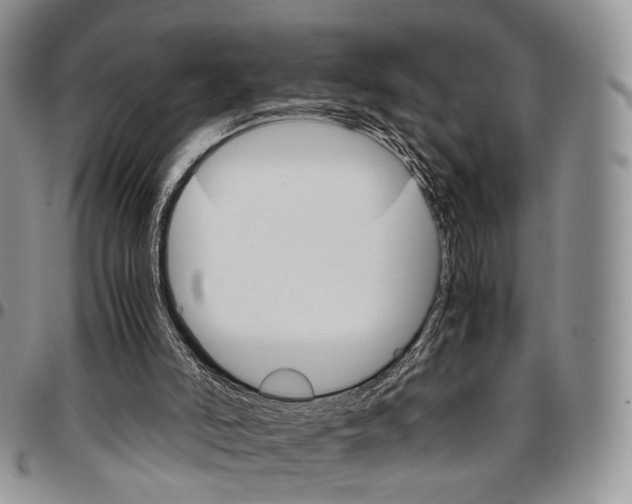 X0000096700006200803041330