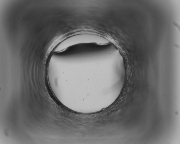 X0000096700007200803041330