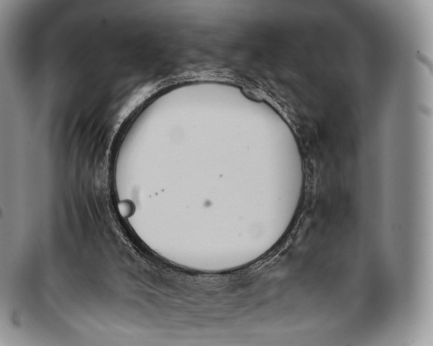 X0000096700008200803041330
