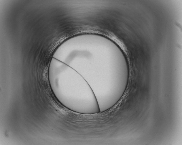 X0000096700009200803041330