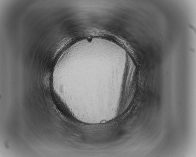 X0000096700010200803041330