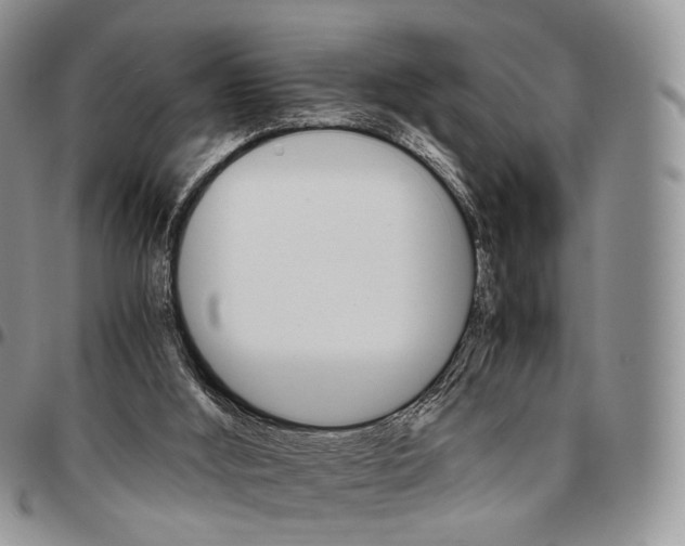 X0000096700012200803041330