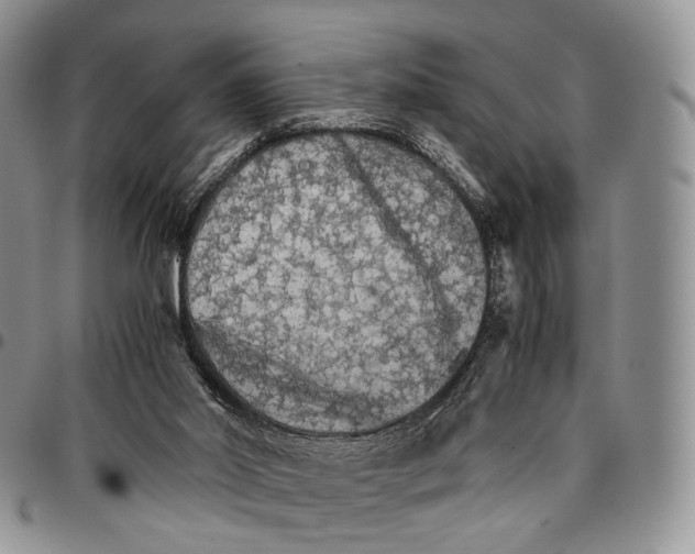 X0000096700014200803041330