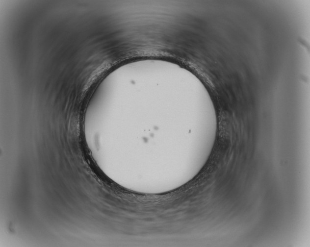 X0000096700015200803041330