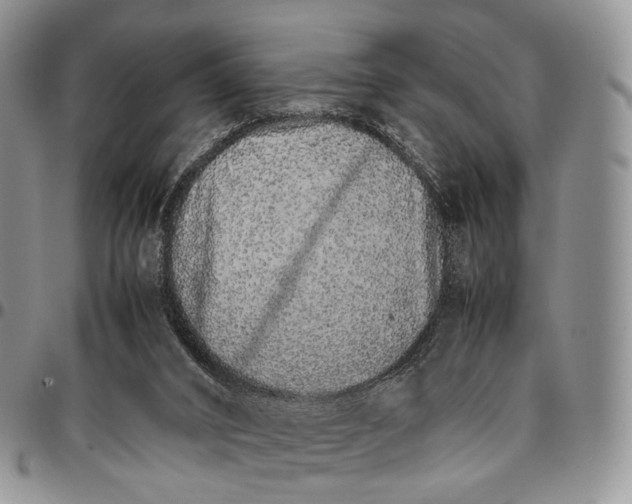 X0000096700016200803041330