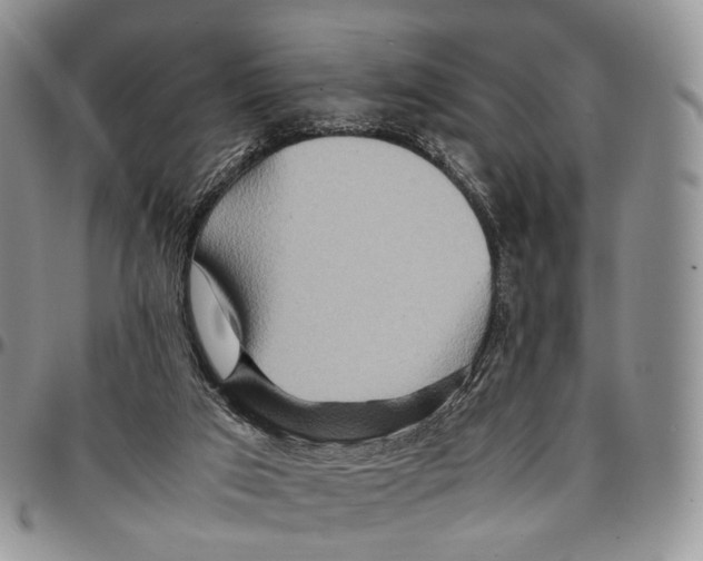 X0000096700017200803041330