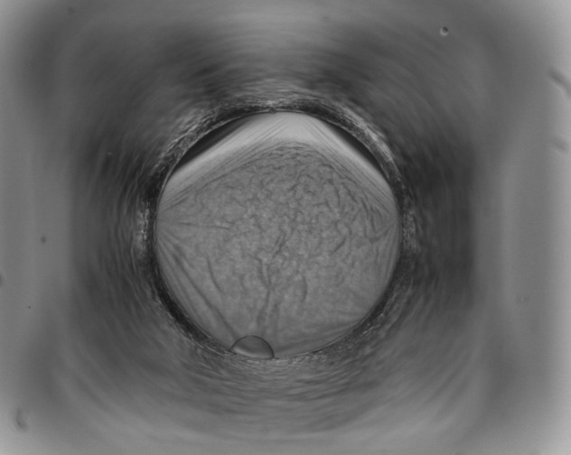 X0000096700018200803041330