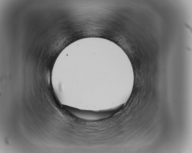 X0000096700021200803041330