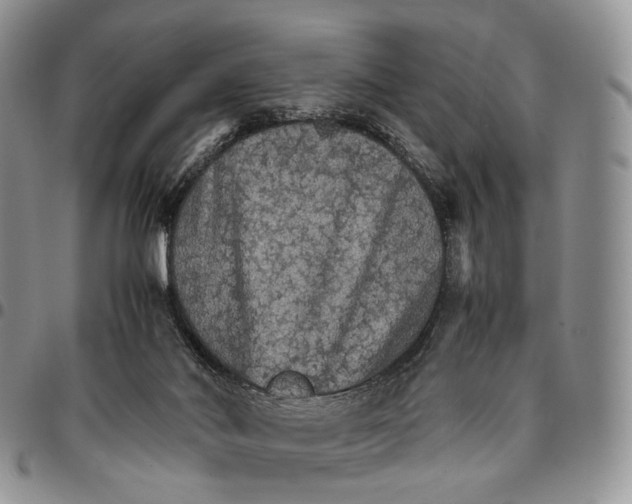 X0000096700022200803041330