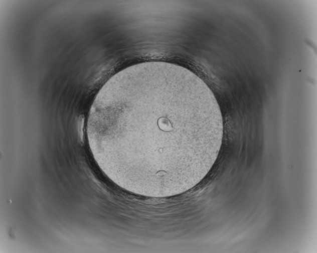 X0000096700024200803041330