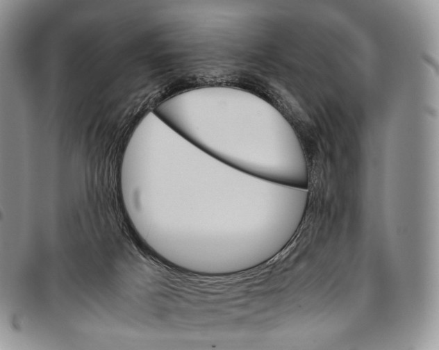 X0000096700025200803041330