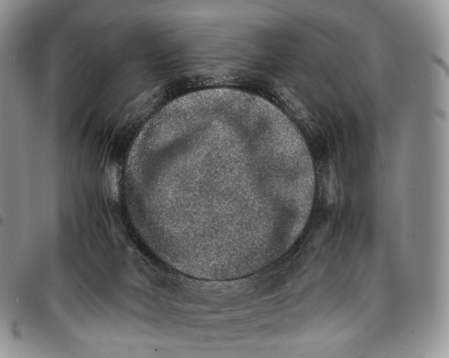 X0000096700026200803041330
