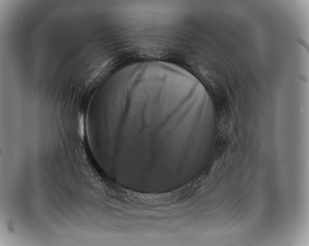 X0000096700027200803041330