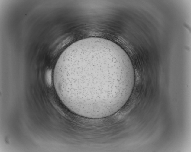 X0000096700028200803041330