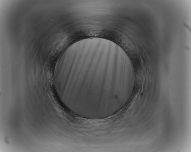 X0000096700031200803041330