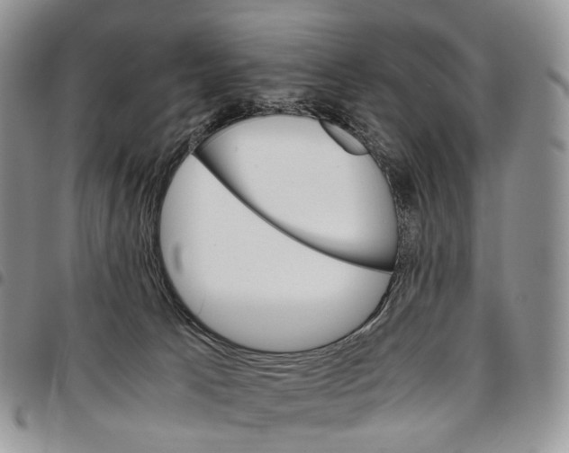 X0000096700033200803041330