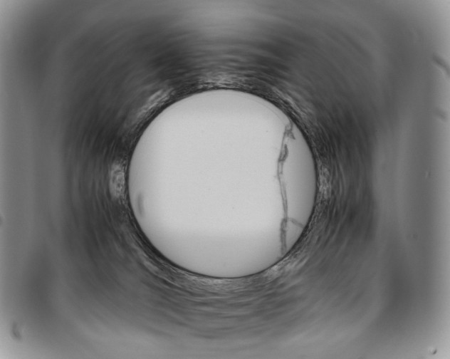 X0000096700036200803041330