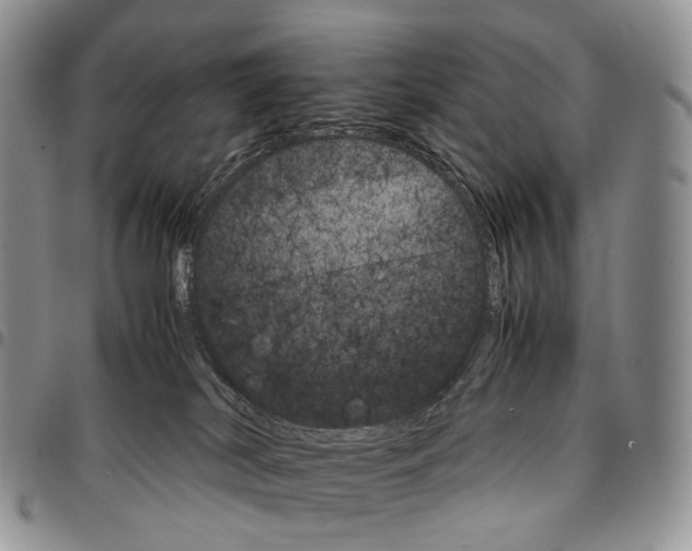 X0000096700038200803041330