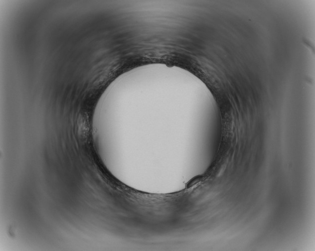 X0000096700040200803041330