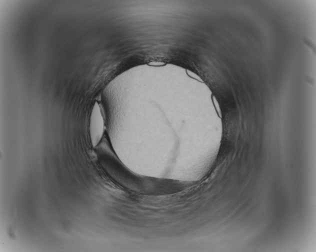 X0000096700041200803041330